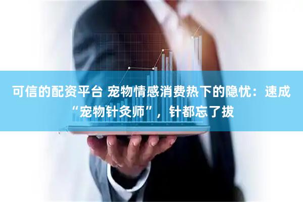 可信的配资平台 宠物情感消费热下的隐忧：速成“宠物针灸师”，针都忘了拔